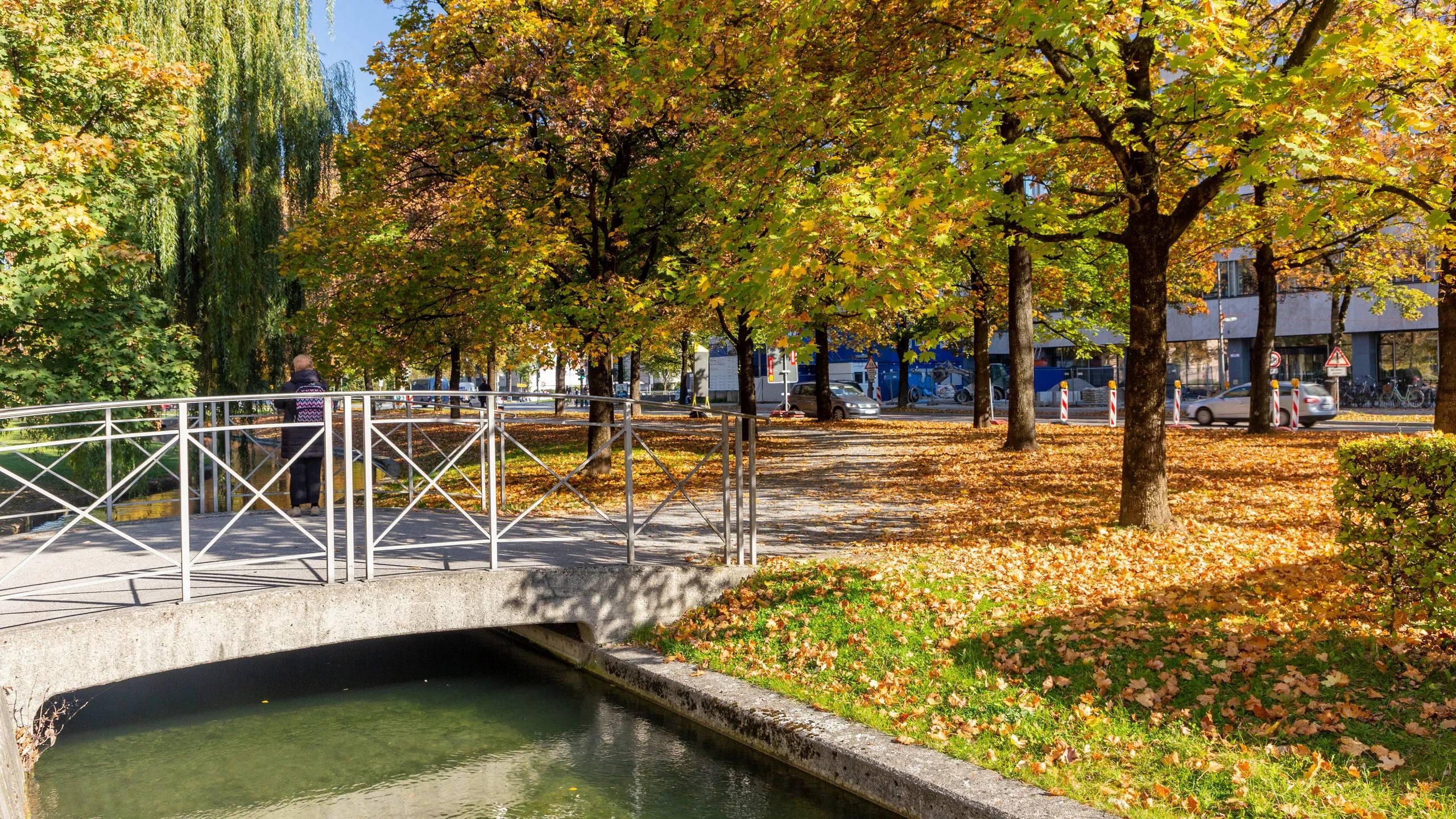 계절의 색을 담은 풍경 (꽃, 단풍)