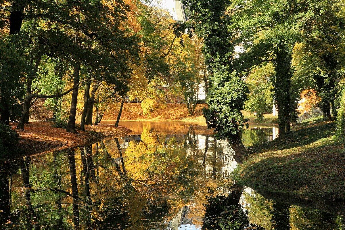 가을 단풍이 물든 수로변