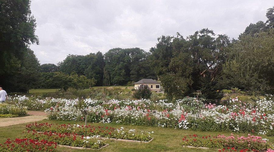 계절별 테마 정원 (예: 장미원, 여름 꽃밭)