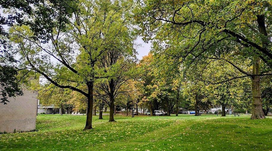 🌳 임마누엘 칸트 공원(임마누엘 칸트 파르크)