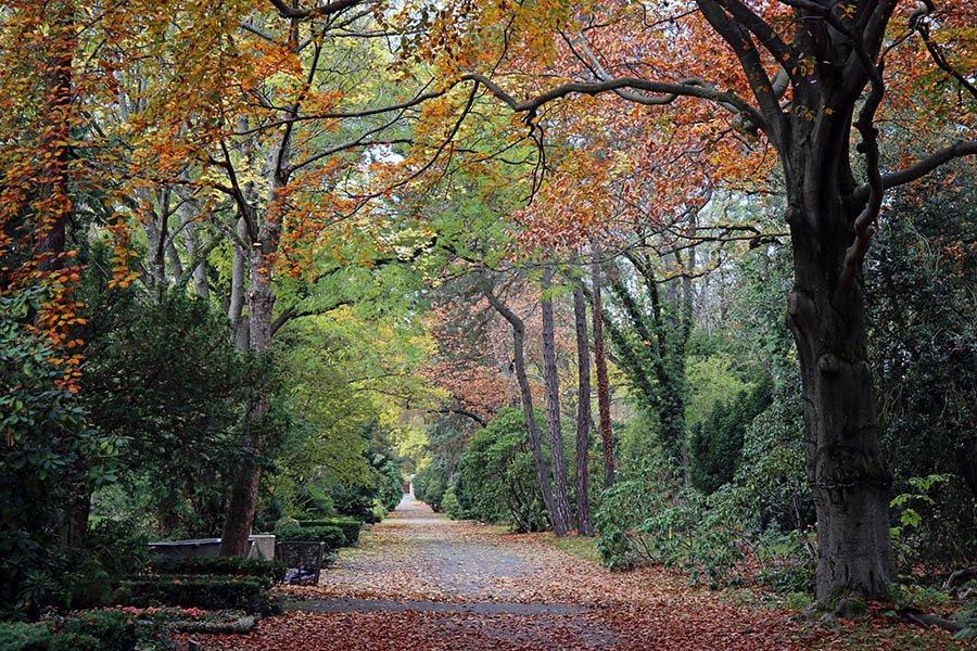 린덴 잎 모양의 아르누보 산책로