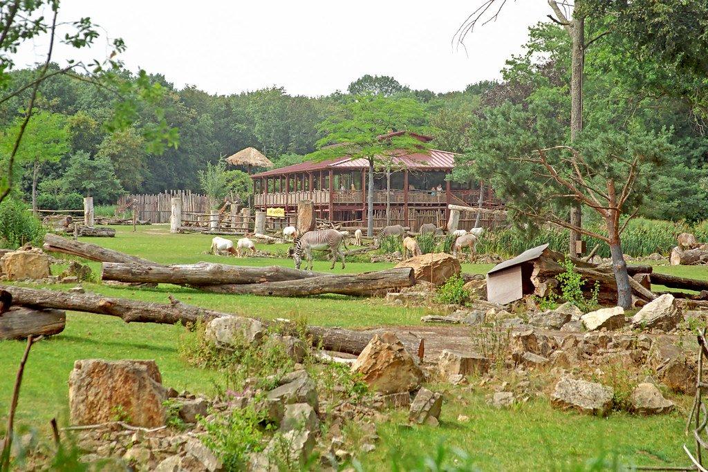 키와라 사바나 (Kiwara Savannah) 기린 카페 근처