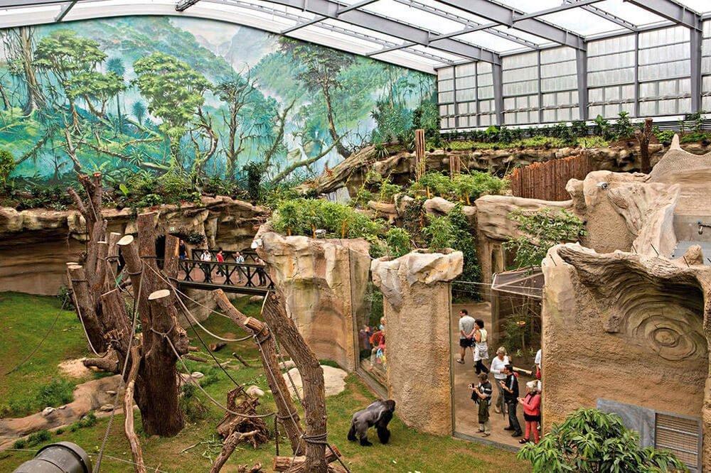 🐾 로스토크 동물원 (조올로기셔 가르텐 로스토크)