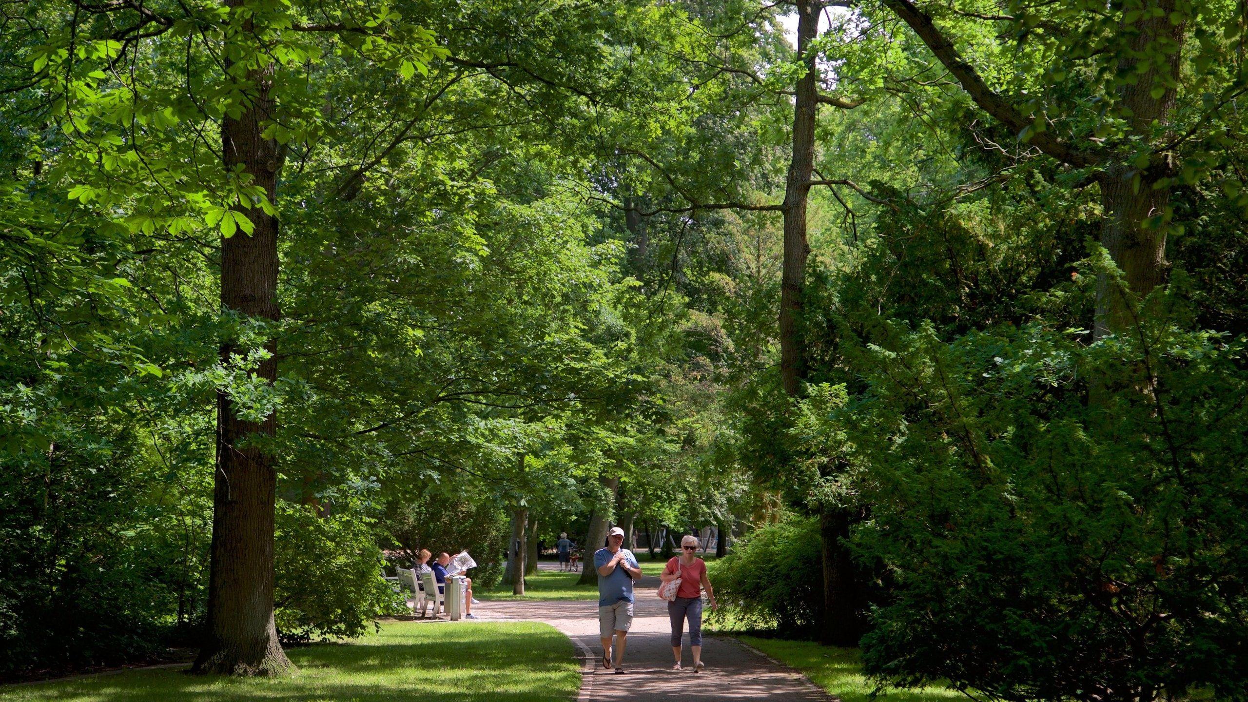공원 중앙 산책로와 주변 녹지