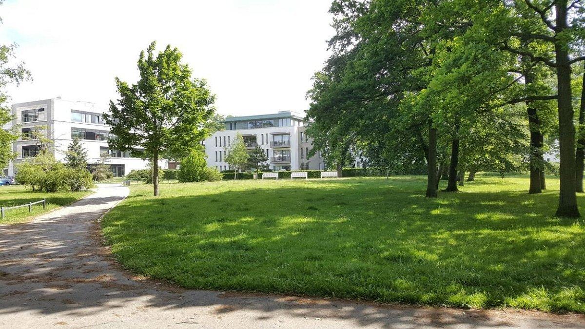 오래된 나무들과 벤치