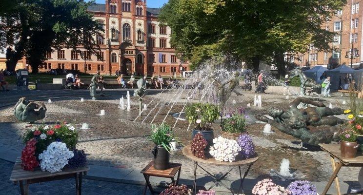 대학교 광장 (Universitätsplatz) 주변