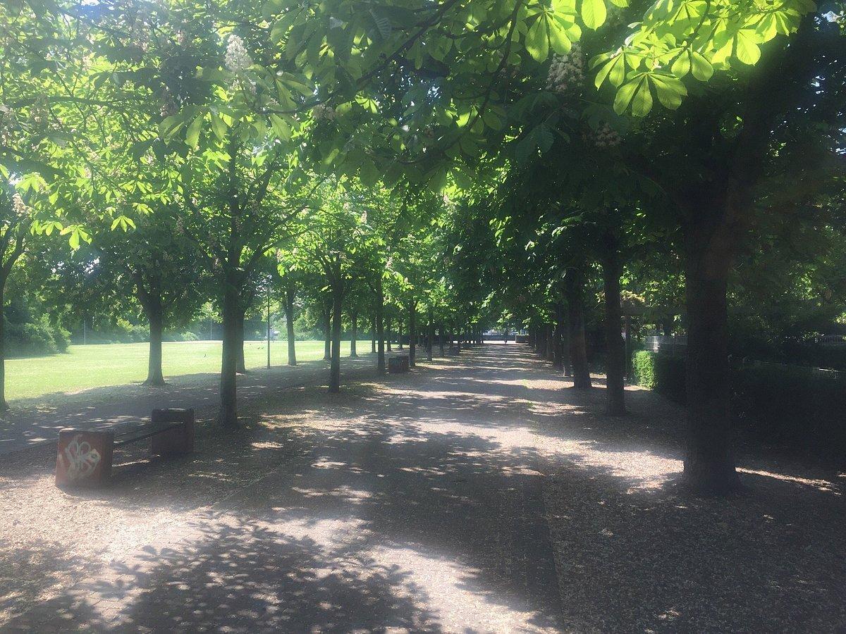 🌳 평화 공원(프리덴스파르크)