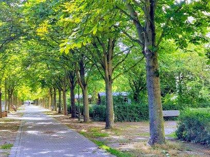 공원 내 녹지 및 산책로