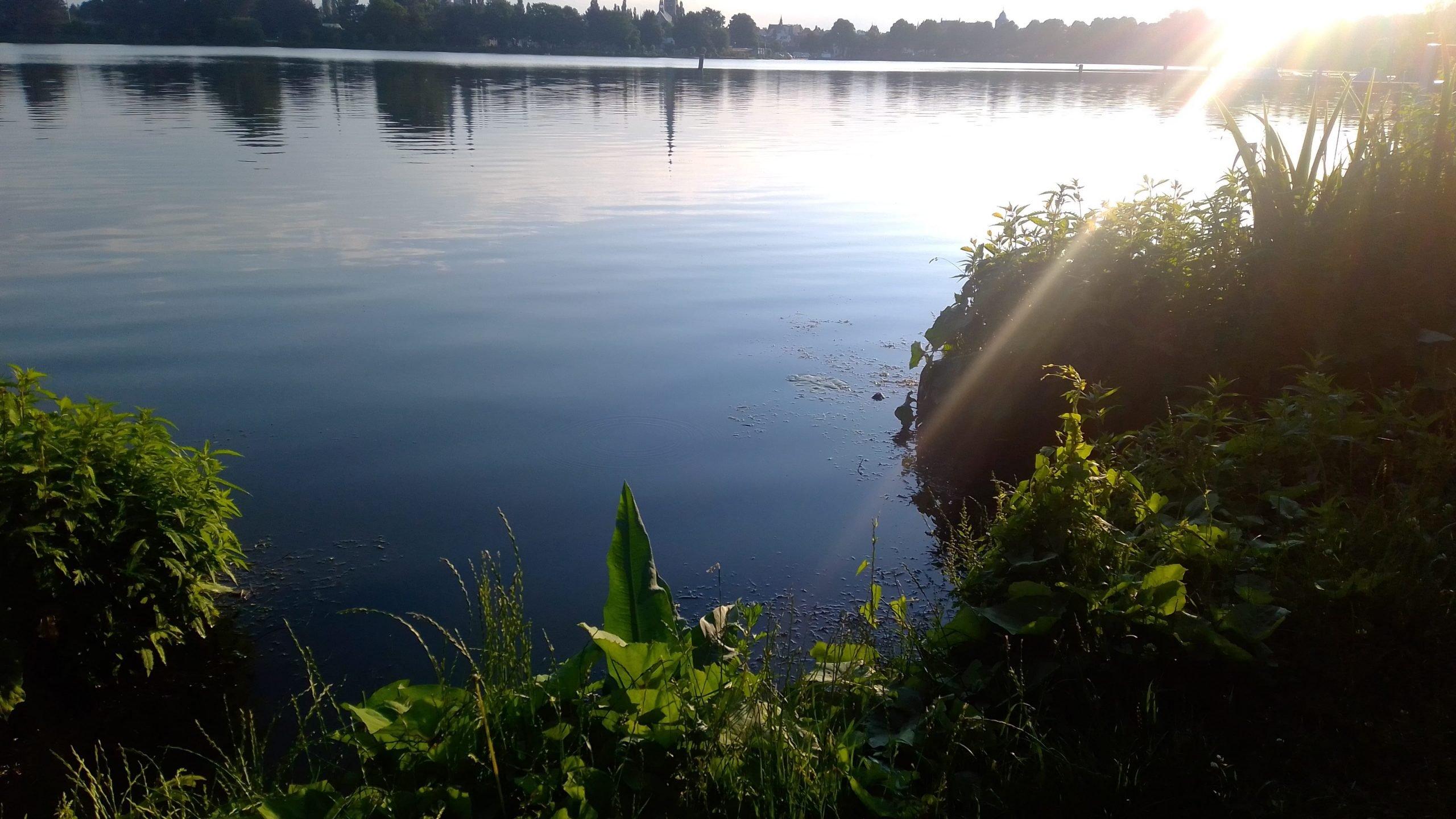 희망의 문 (Tor der Hoffnung) 앞 잔디밭