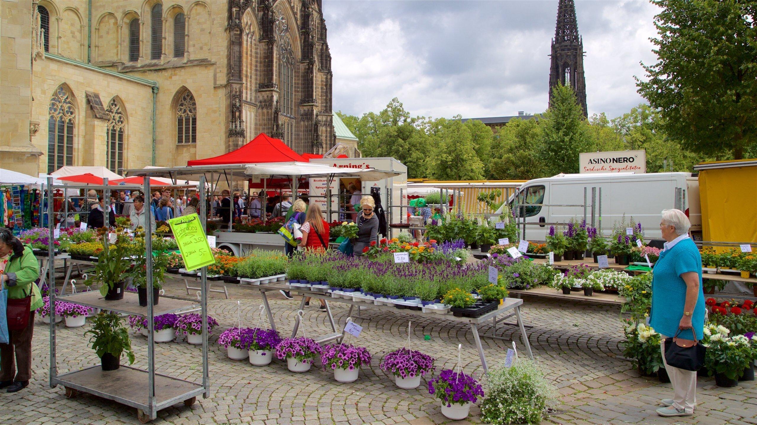 다양한 꽃과 농산물 가판대