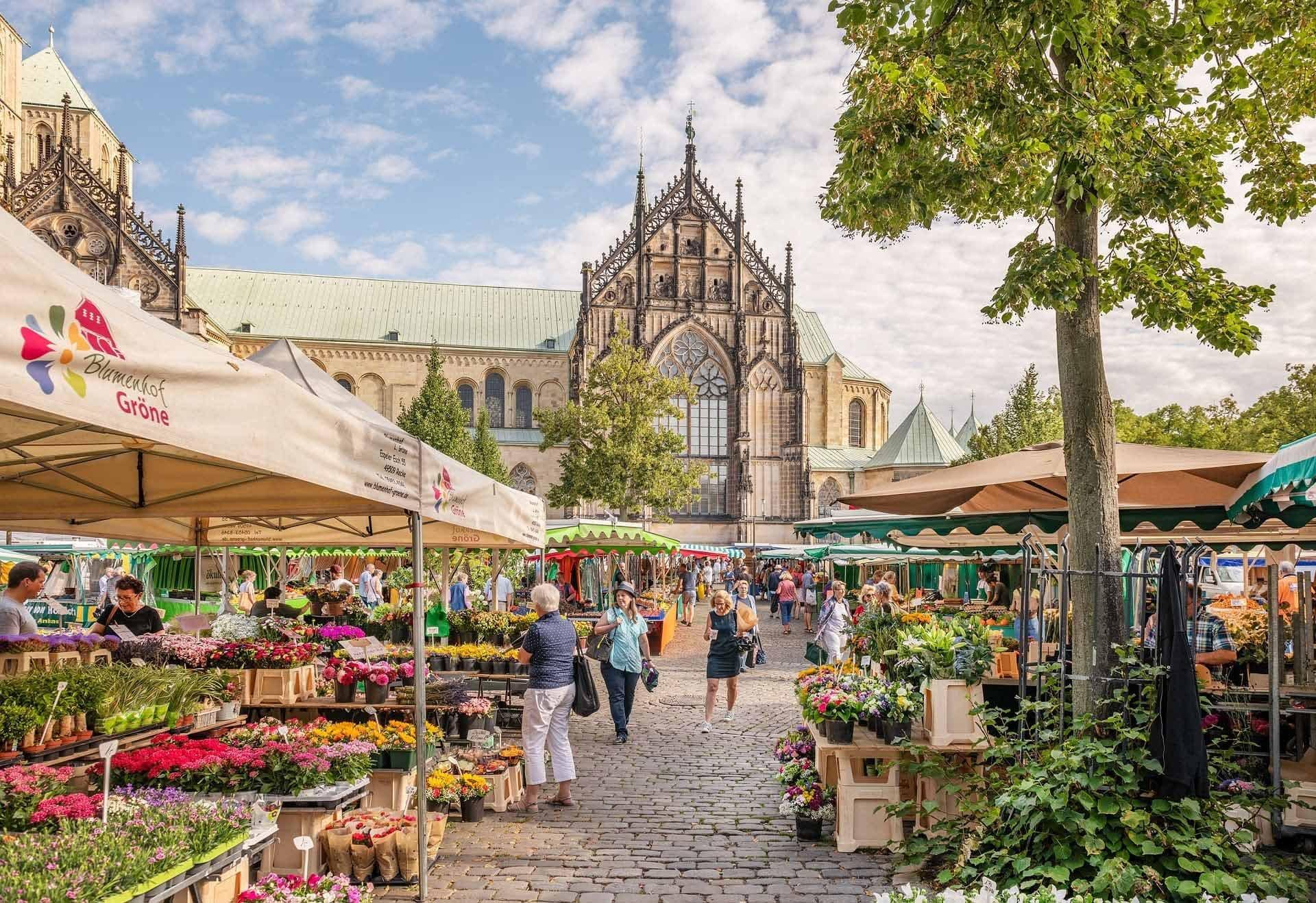 뮌스터 돔플라츠 주간 시장 풍경