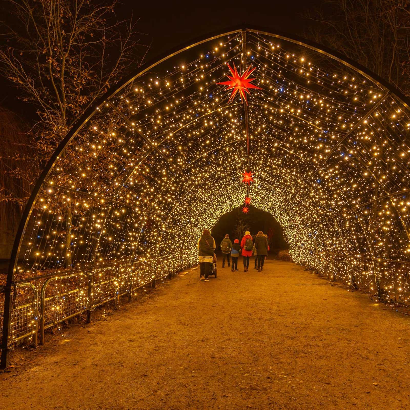 알베터초 뮌스터 겨울 조명 이벤트