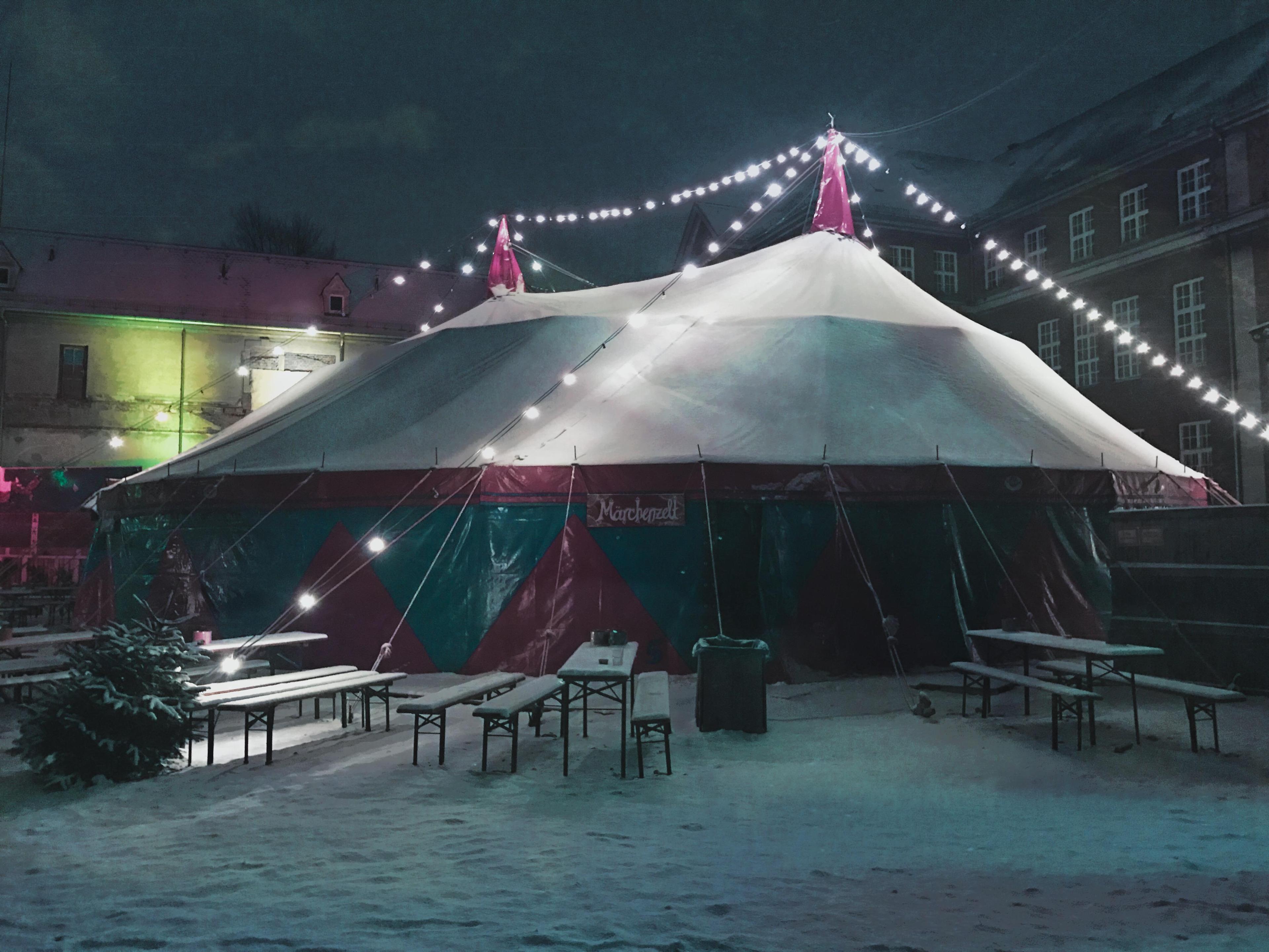 겨울 서커스 공연 포스터