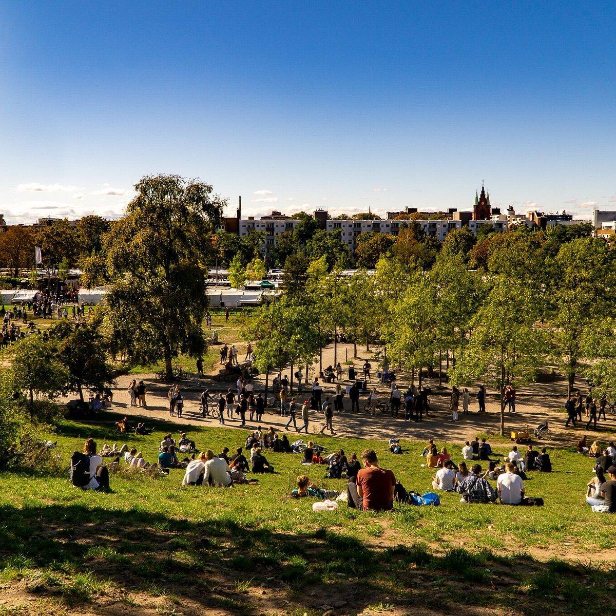 공원 언덕 위에서 바라보는 풍경