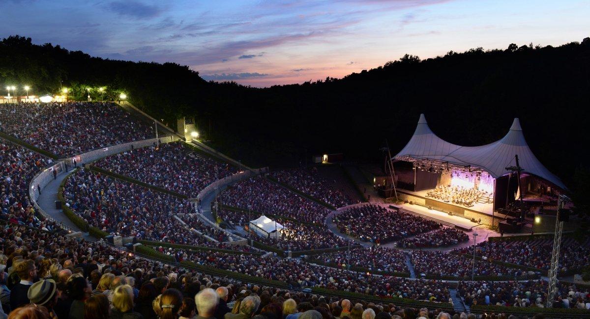 베스트-이스턴 디반 오케스트라 발트뷔네 공연 모습