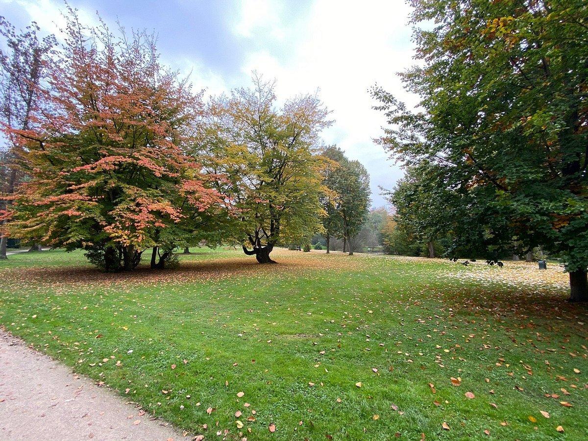 🌳 바텐샤이트 시민공원(슈타트가르텐 바텐샤이트)