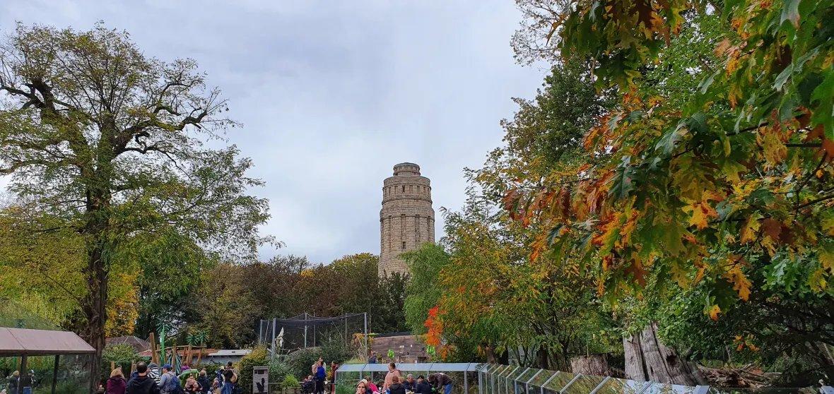 ⛰️ 티펠스 산(티펠스베르크)