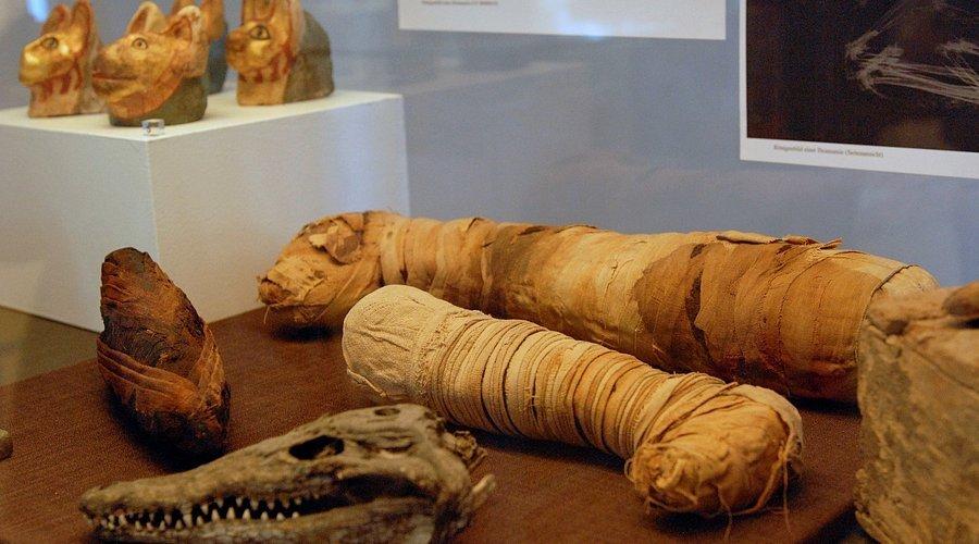 주요 유물 전시 공간