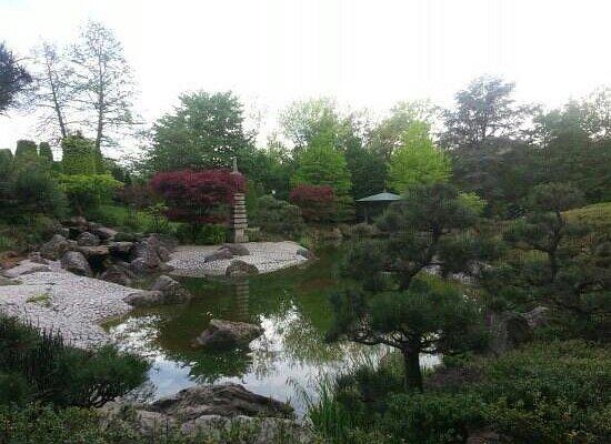 호수와 섬을 배경으로 한 곳