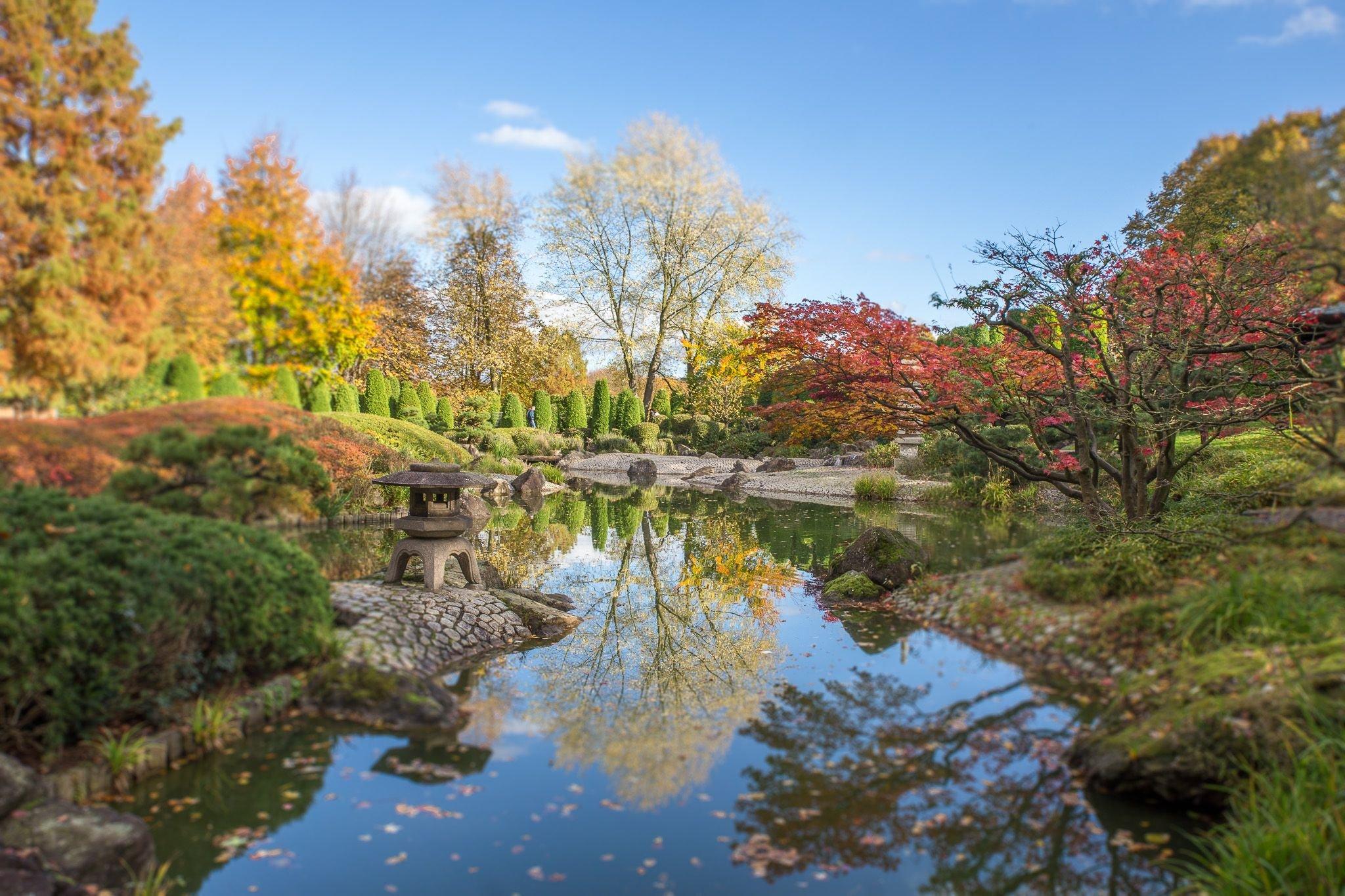 가을 단풍이 물든 산책로