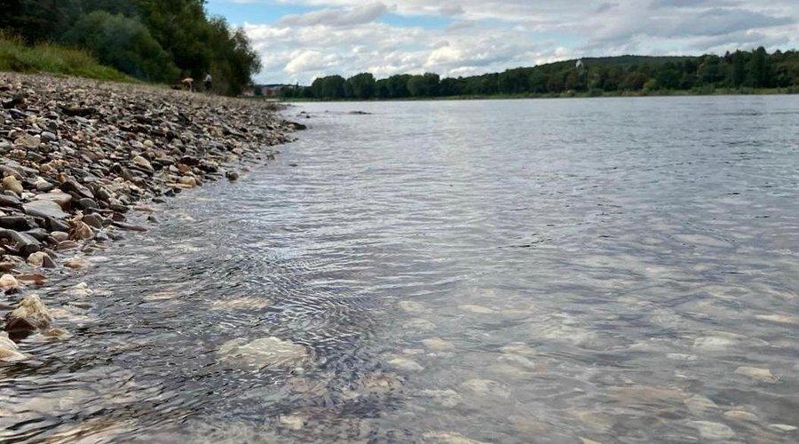 🏞️ 플리티 해변 (플리티 비치)