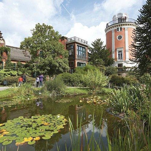 연못가에서 바라본 성