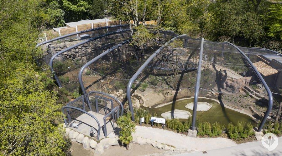 조류 자유 비행 홀