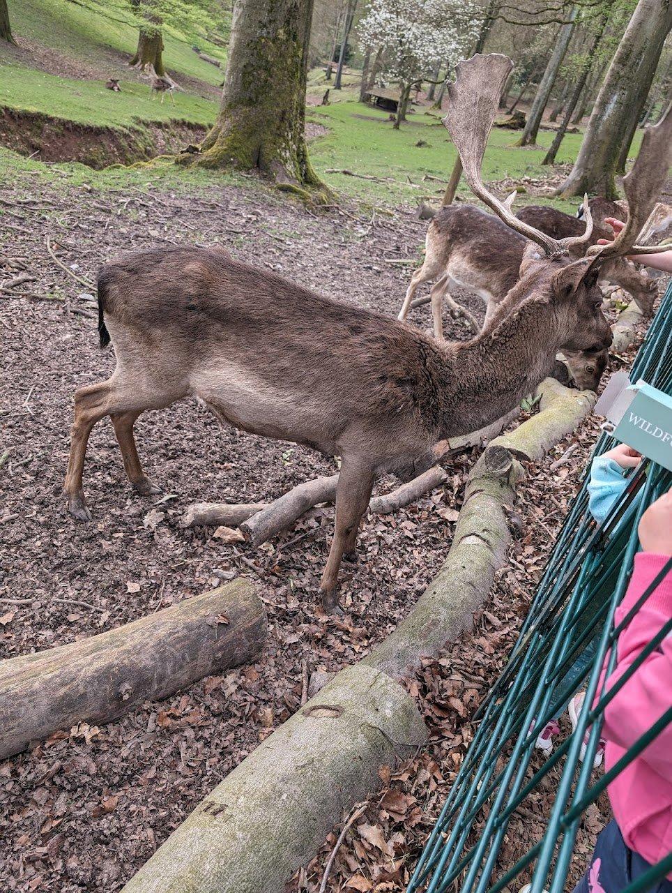 사슴 관찰원 주변