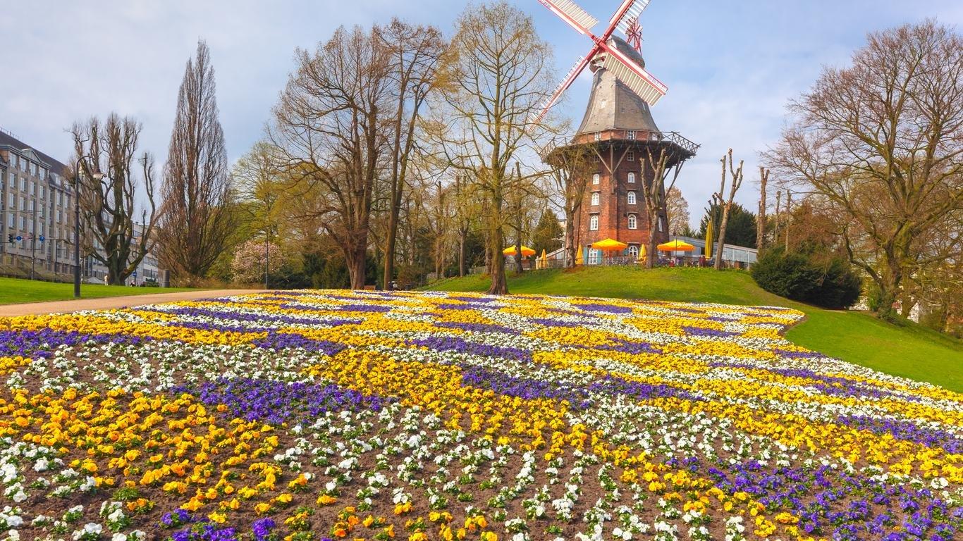 🌬️ 벽 위의 풍차 (디 뮐레 암 발)