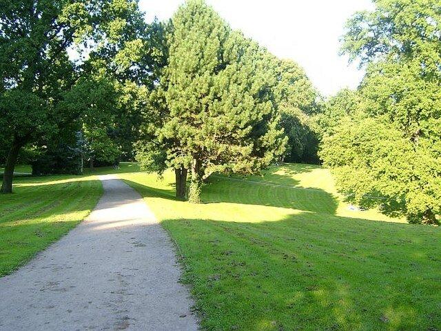 고목 군락지 (특히 슈틸아이헤 주변)