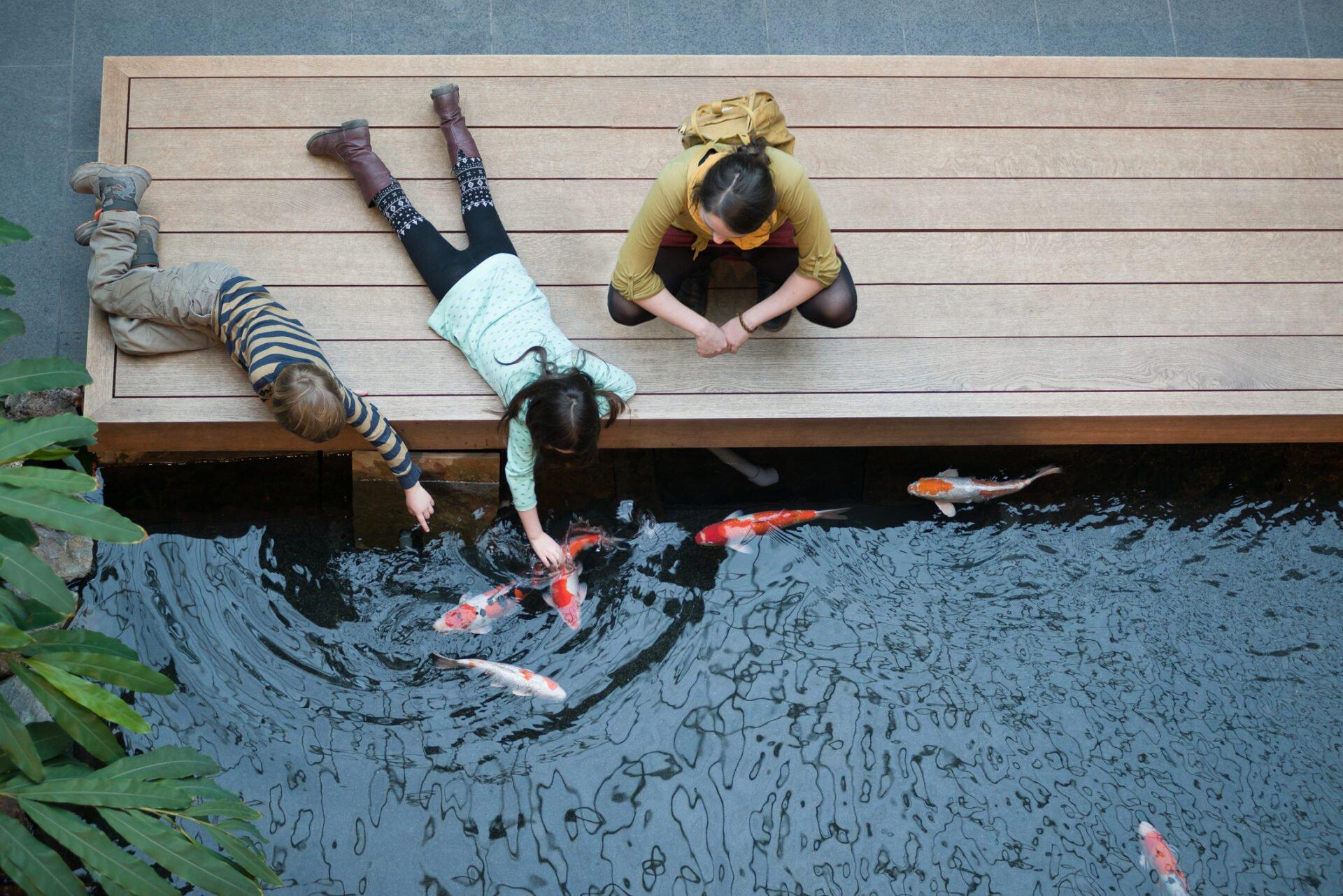 아시아관 잉어 연못