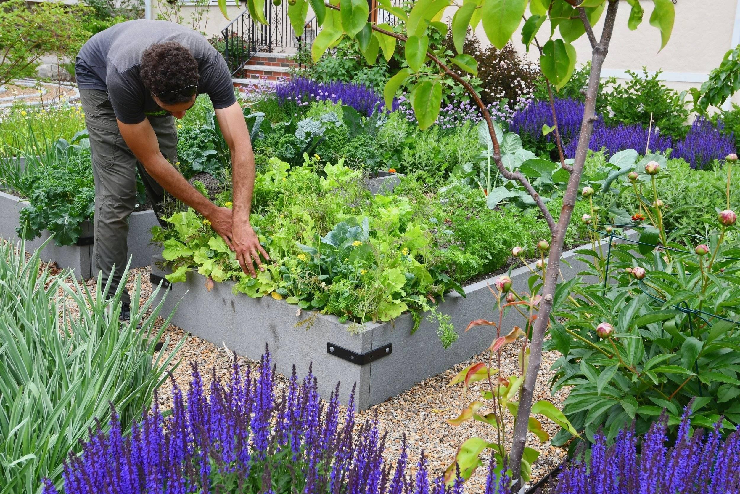 테마별 약초 화단