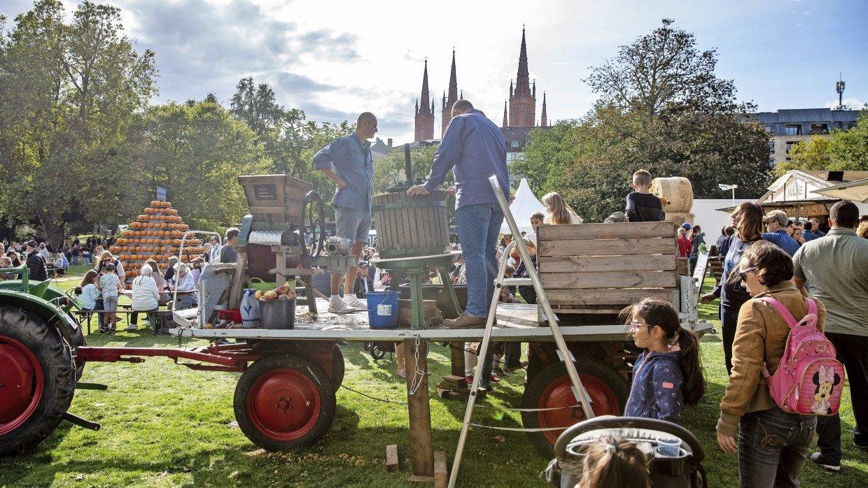 비스바덴 추수감사절 축제 현장