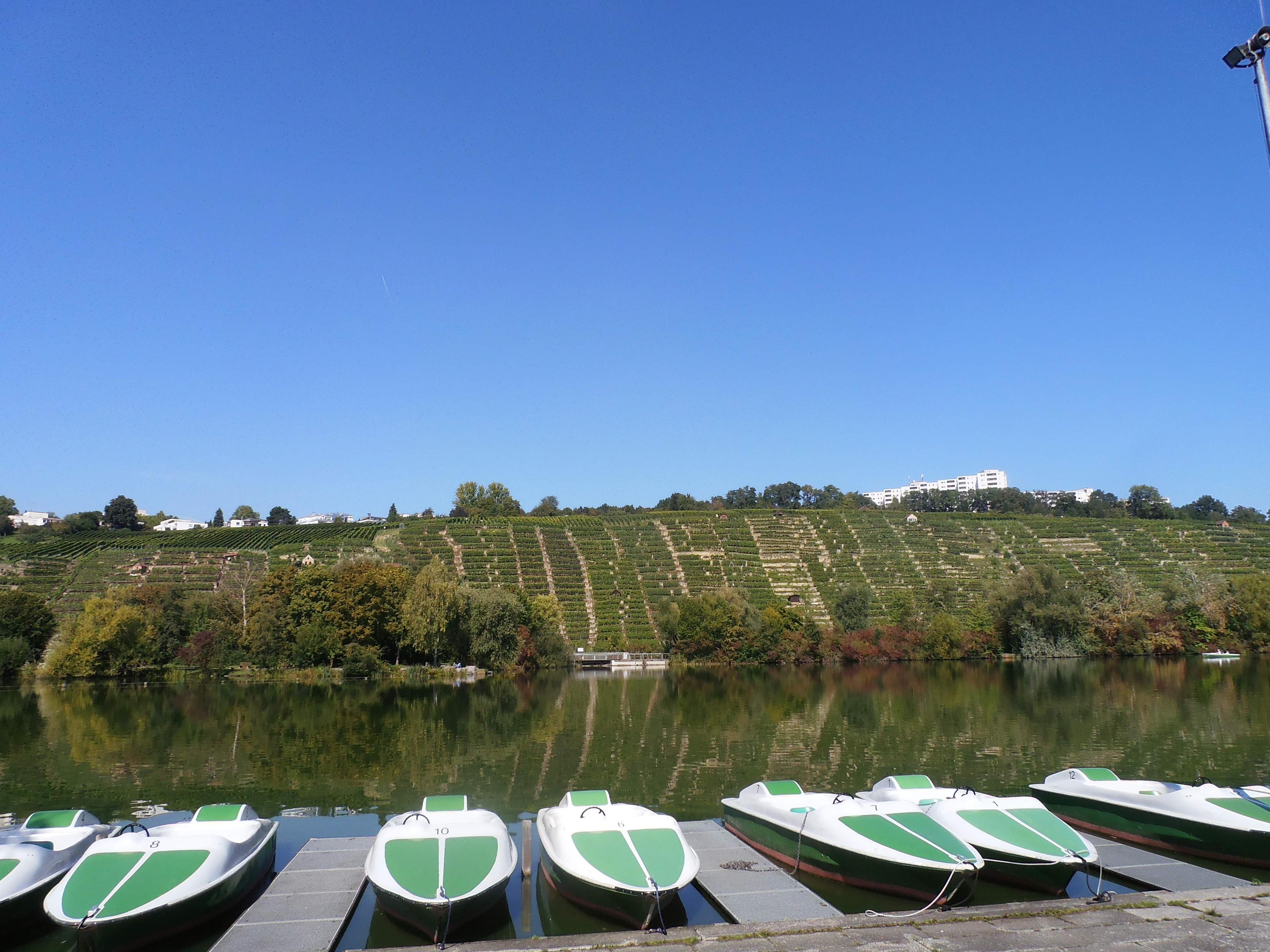 보트 위에서 바라본 풍경