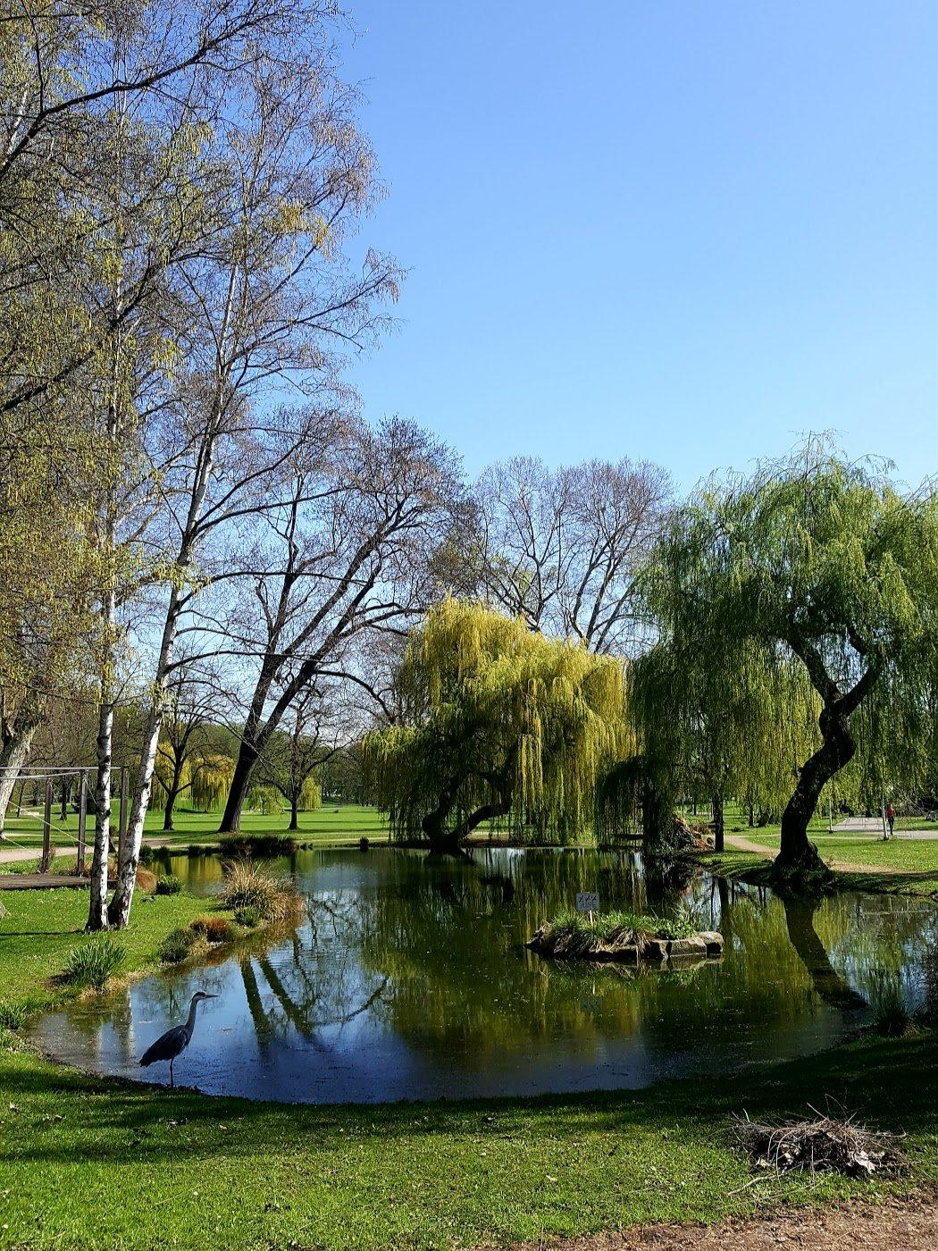 호수와 오리가 있는 풍경