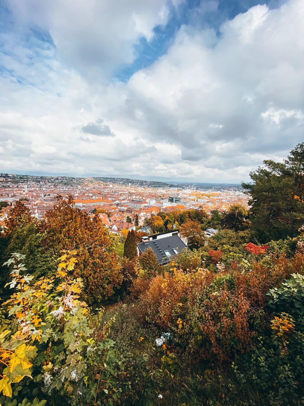하젠베르크슈타이게(Hasenbergsteige) 주변