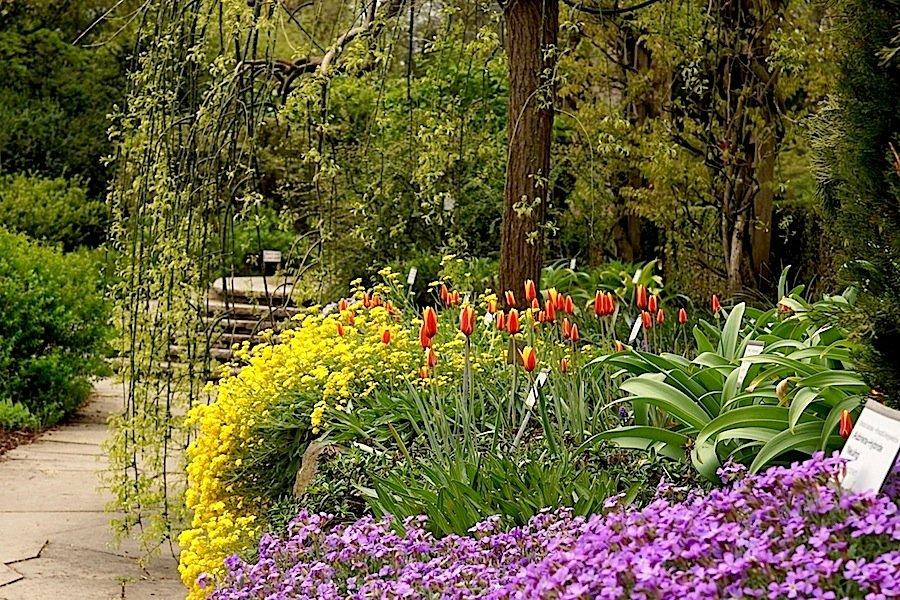 계절별 꽃밭 및 라벤더 미로