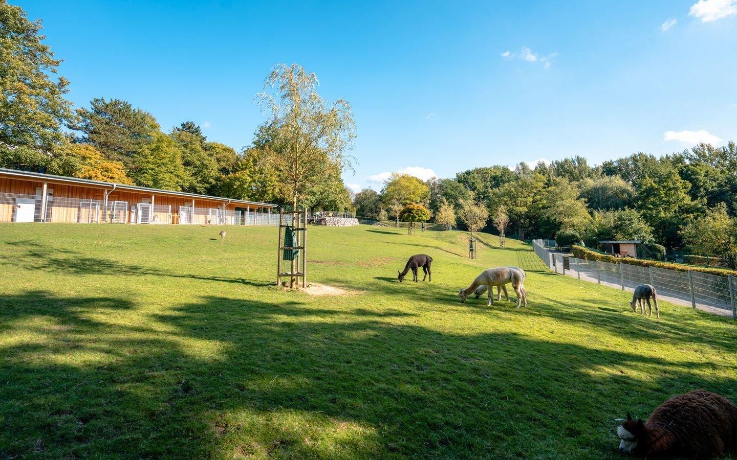 🐾 티어파크 아헨