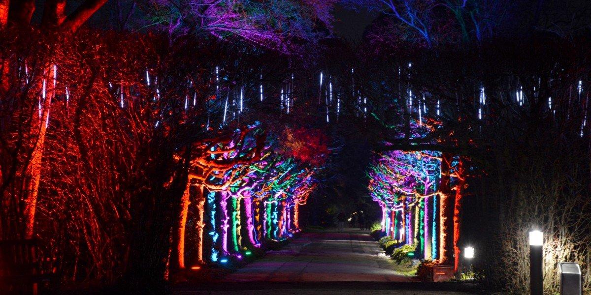 그루가파르크 파르크로이히텐 조명 축제