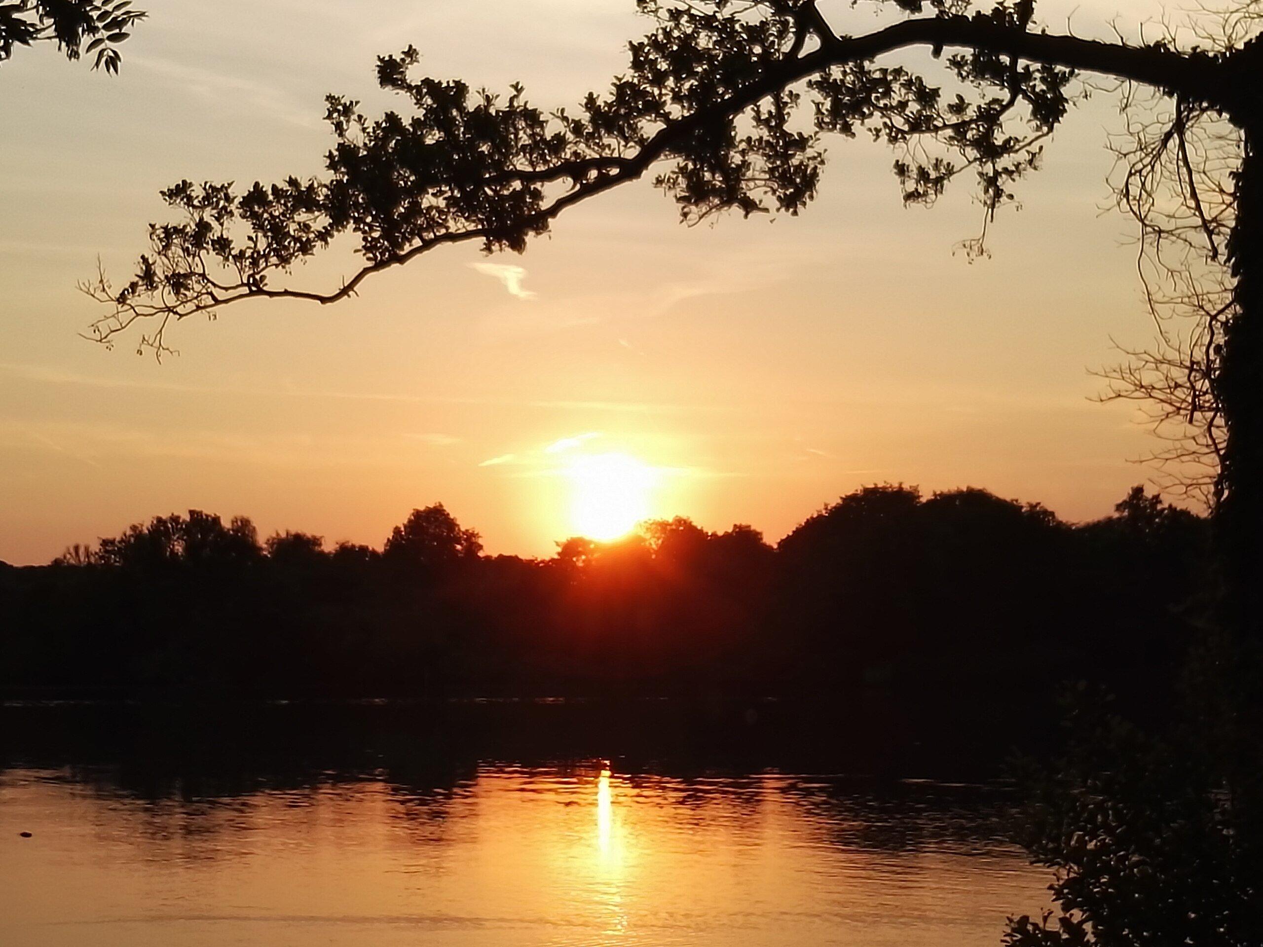 호숫가 산책로 (특히 해 질 녘)
