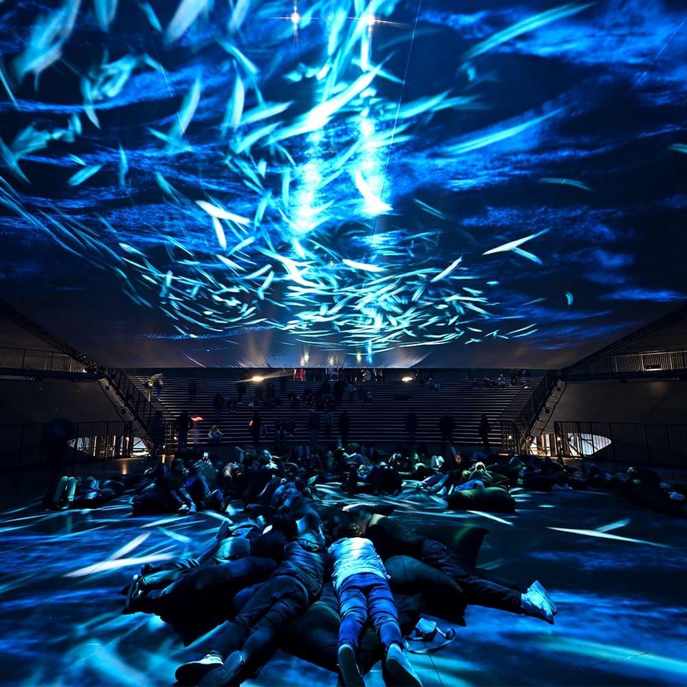 플래닛 오션 전시 포스터 또는 내부 모습