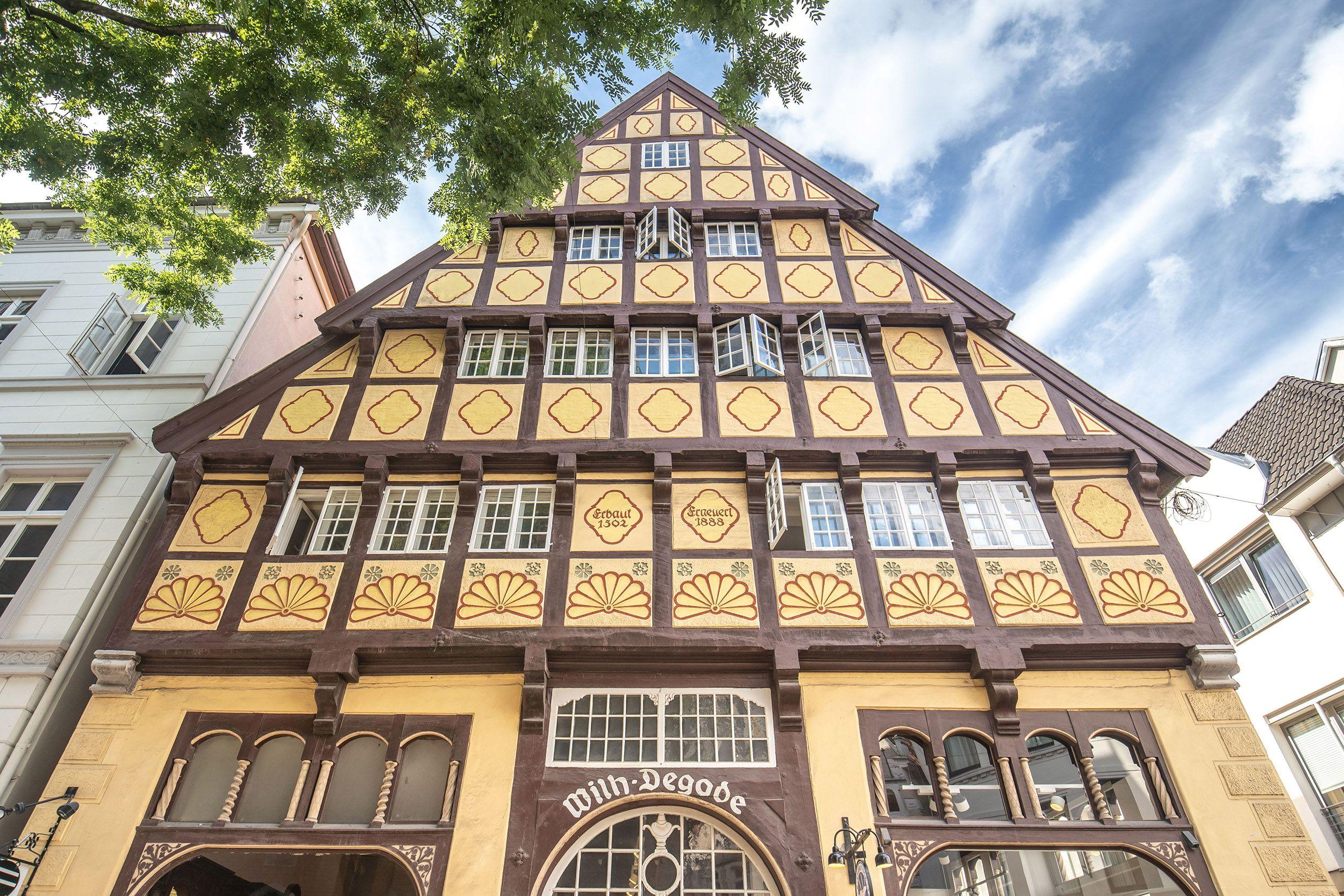 🏛️ 데고데의 집 (데고데하우스)