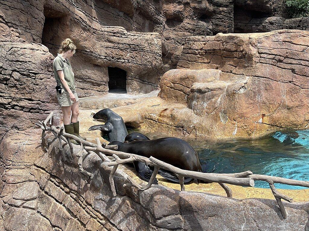 물개 쇼 관람석