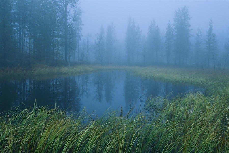 안개 낀 아침의 호수 주변 (접근 가능 지점)