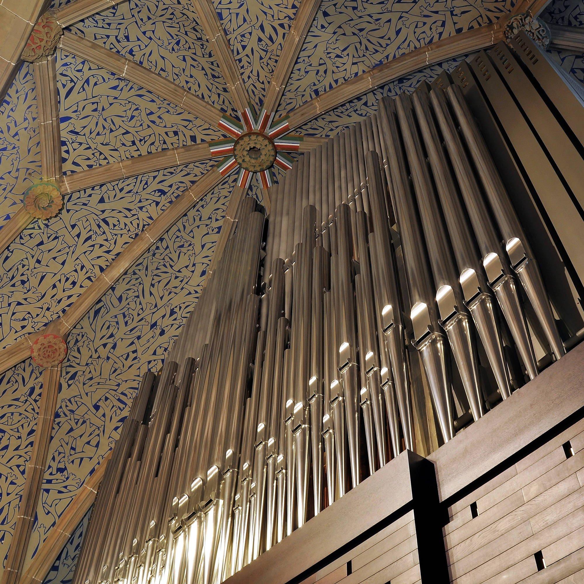 그리스도 교회 오르간 콘서트