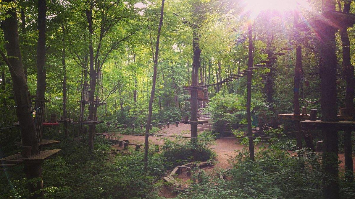 🌲 숲 로프 공원(발트자일파르크 카를스루에)