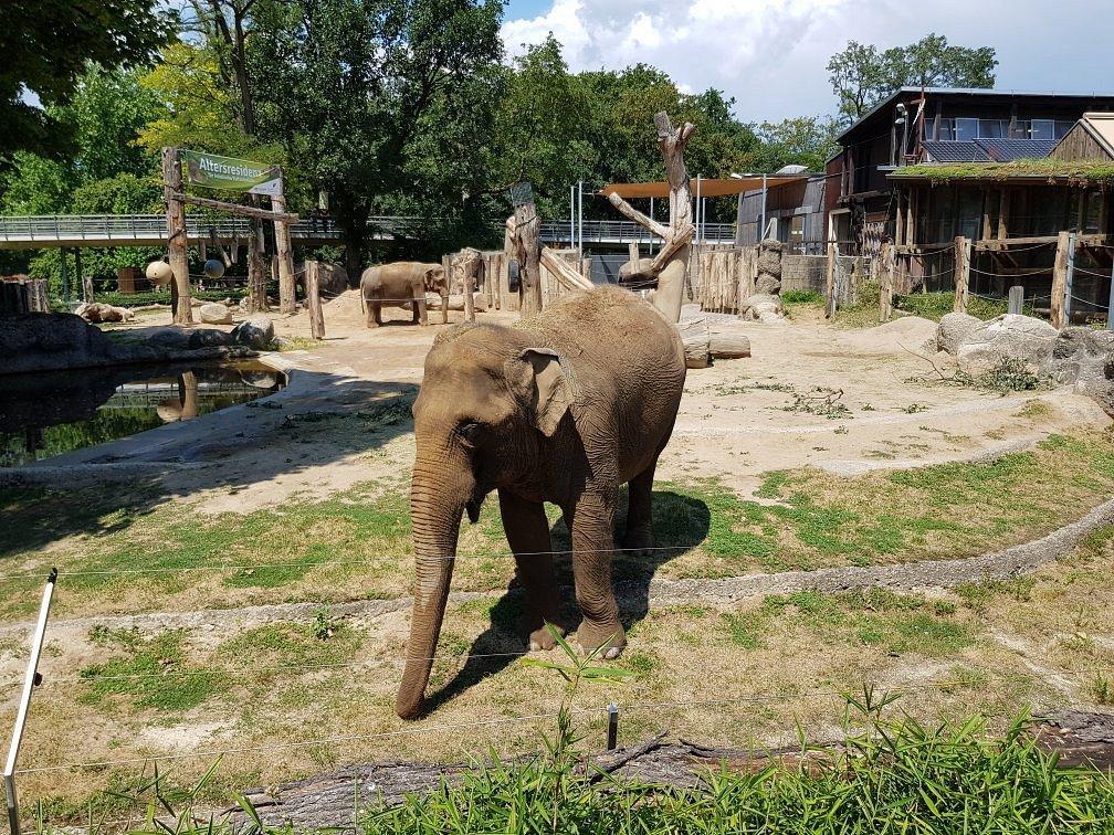 🦁 카를스루에 동물원(촐로기셔 슈타트가르텐)