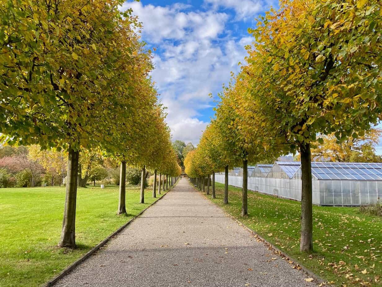 로맨틱한 정원 길