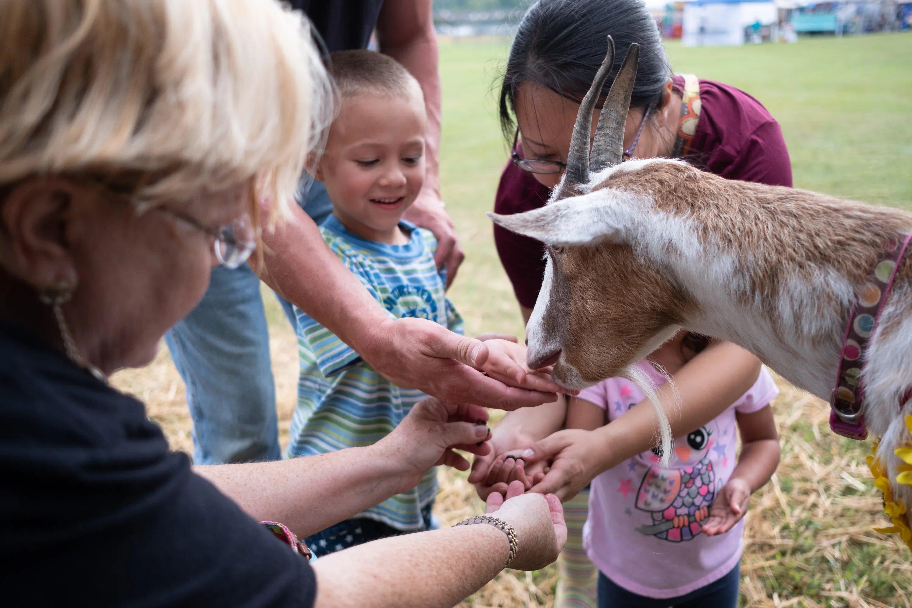 염소 먹이주기 체험장