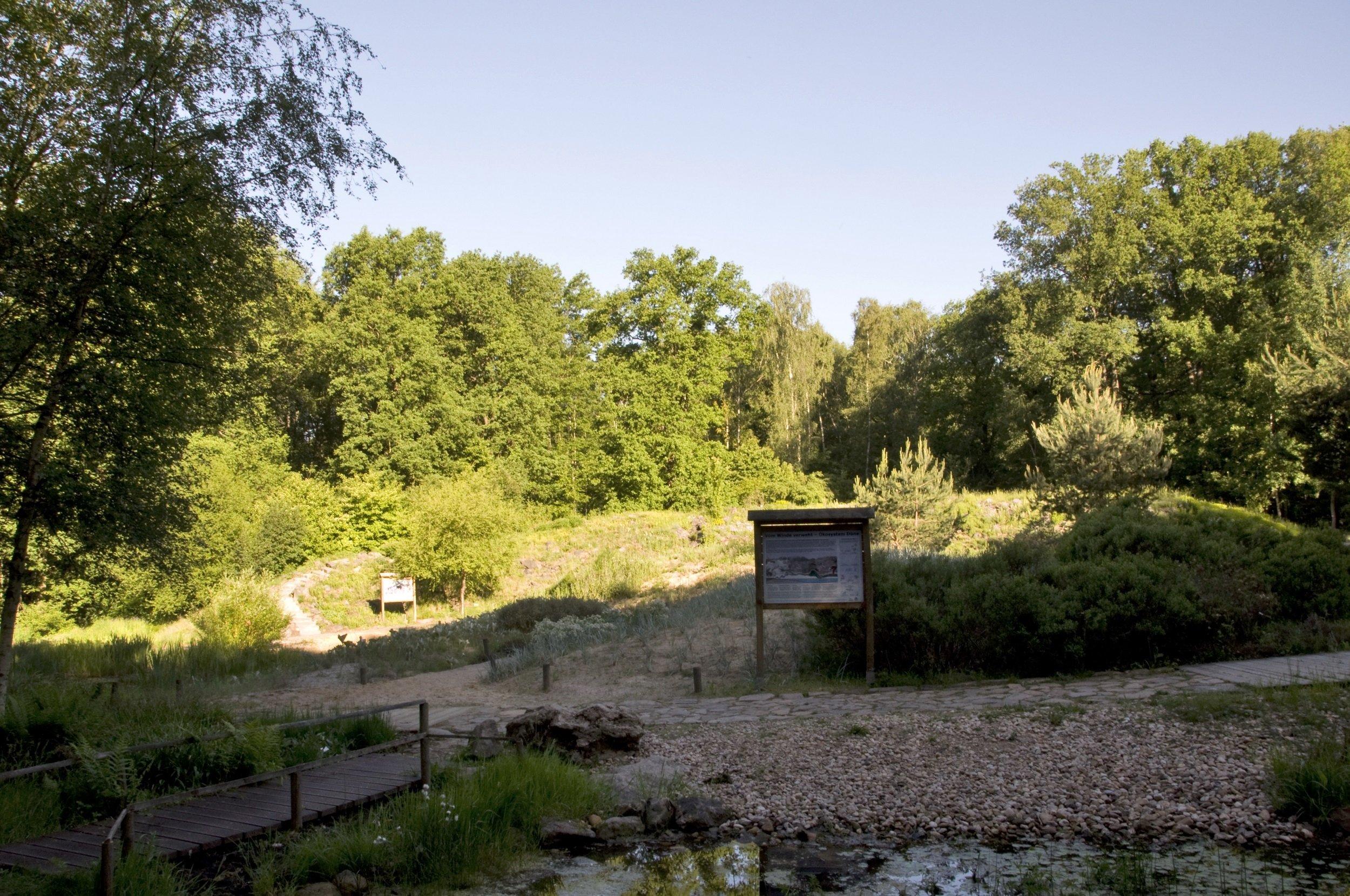 🌿 켐니츠 식물원(보타니셔 가르텐 켐니츠)